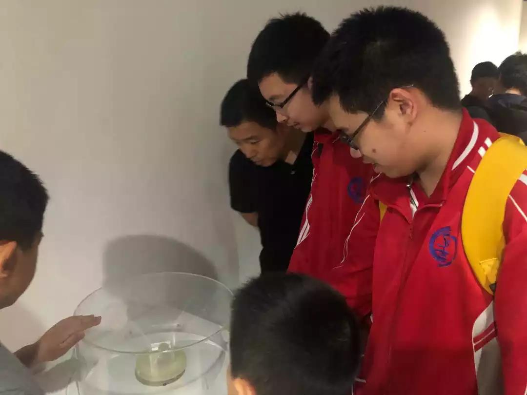 1560582380484077085.jpg 微信图片_20190615150805.jpg