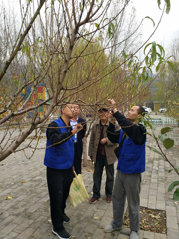 点击查看大图